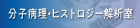 分子病理・ヒストロジー解析室